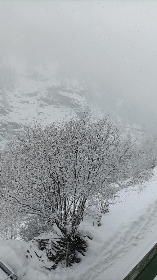 Les Hauts Du Roux Abries Ngoại thất bức ảnh